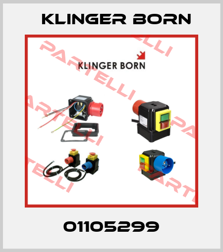 01105299 Klinger Born