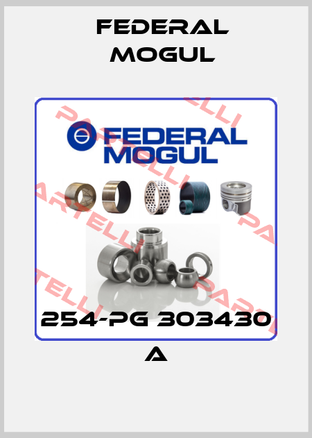 254-PG 303430 A Federal Mogul
