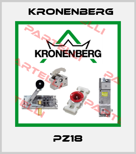 PZ18 Kronenberg