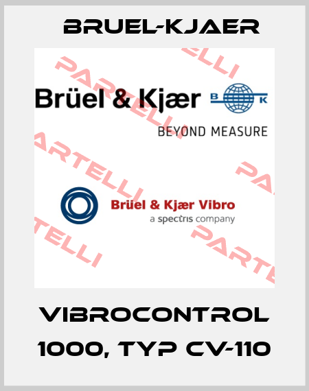VIBROCONTROL 1000, Typ CV-110 Bruel-Kjaer
