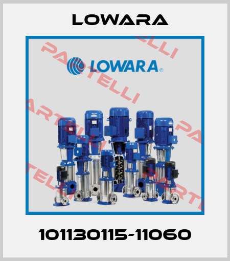 101130115-11060 Lowara