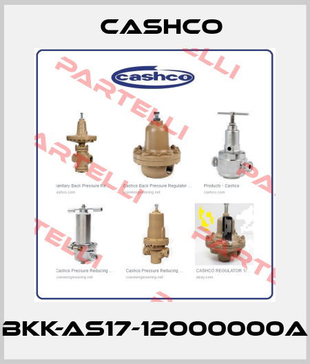 BKK-AS17-12000000A Cashco