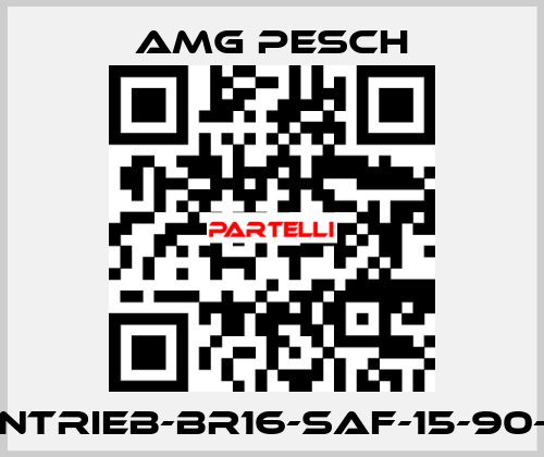 AMG-Antrieb-BR16-SAF-15-90-01-n=12 AMG Pesch