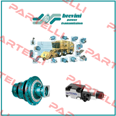 Z11F3EBV101 OEM Brevini