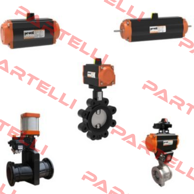 V205/ PN40 Proval