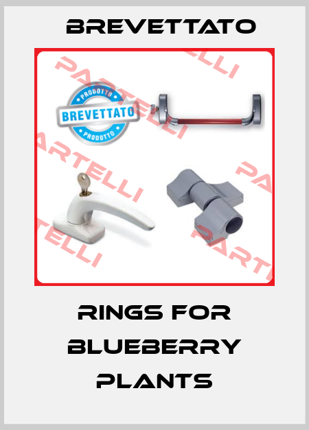 Rings for blueberry plants Brevettato