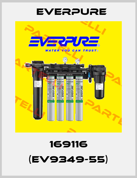 169116 (EV9349-55) Everpure
