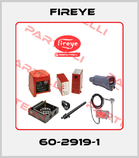 60-2919-1 Fireye
