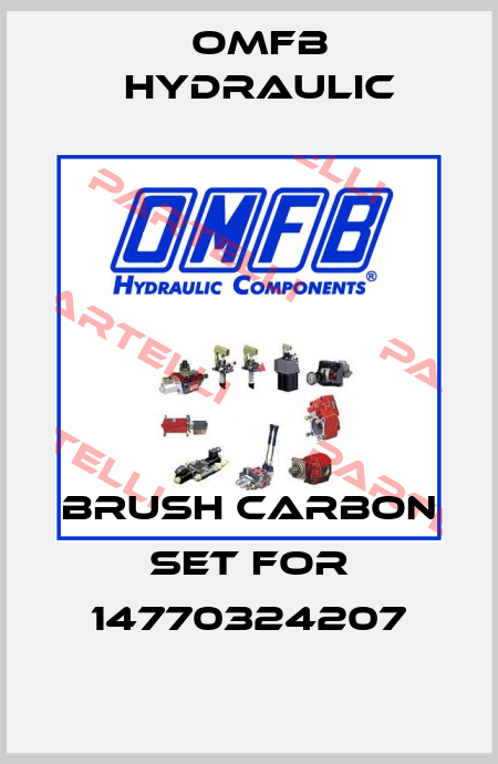 Brush carbon set for 14770324207 OMFB Hydraulic