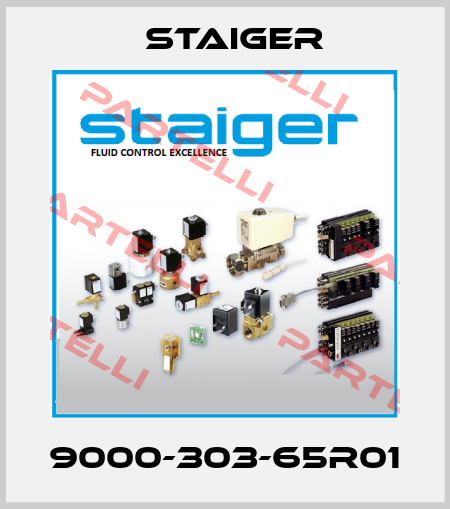 9000-303-65R01 Staiger