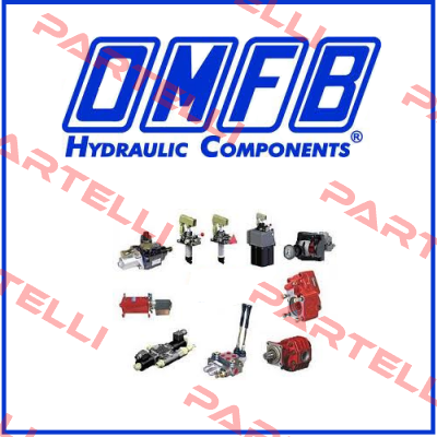 10690100256 OMFB Hydraulic