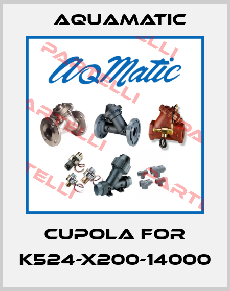cupola for K524-X200-14000 AquaMatic