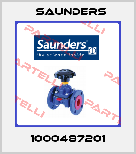 1000487201 Saunders