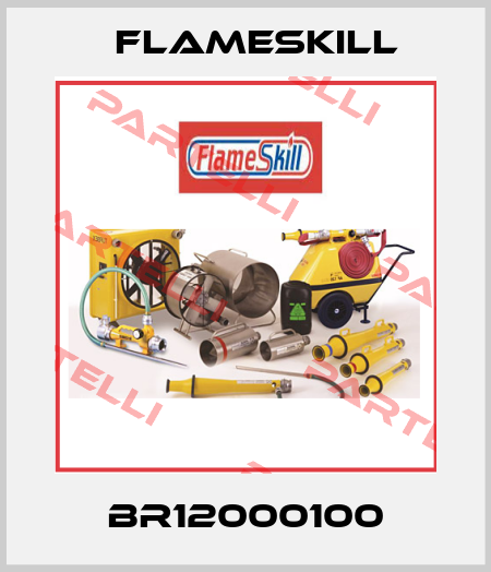 BR12000100 FlameSkill