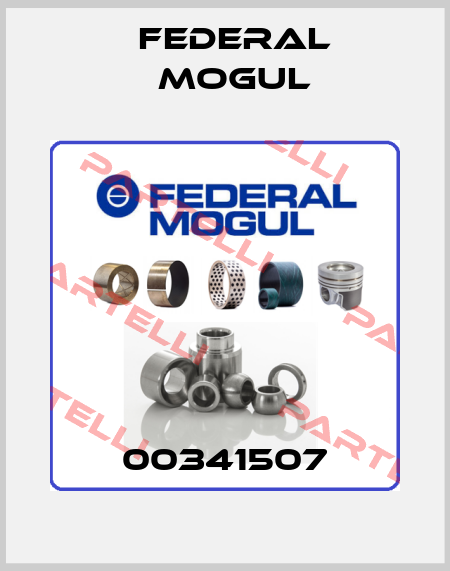 00341507 Federal Mogul
