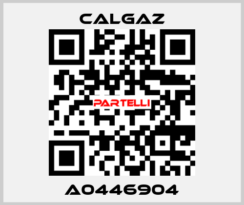 A0446904 Calgaz