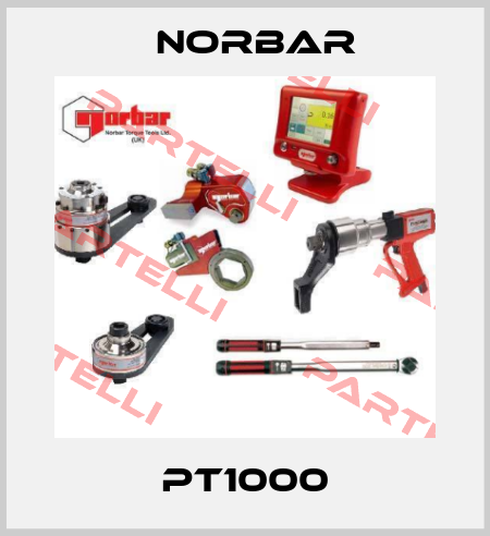 PT1000 Norbar