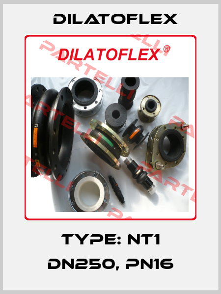 Type: NT1 DN250, PN16 DILATOFLEX