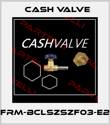 FRM-BCLSZSZF03-E2 Cash Valve