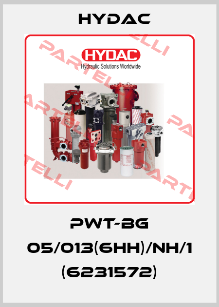PWT-BG 05/013(6HH)/NH/1  (6231572) Hydac