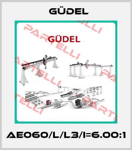 AE060/L/L3/i=6.00:1 Güdel