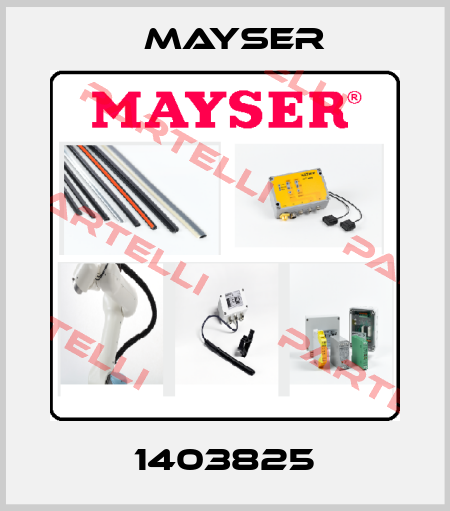 1403825 Mayser