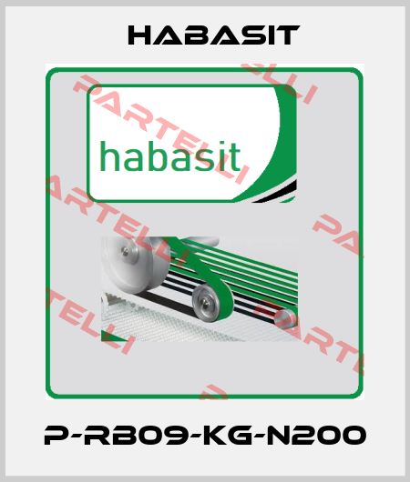 P-RB09-KG-N200 Habasit