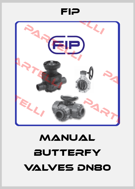 Manual butterfy valves DN80 Fip