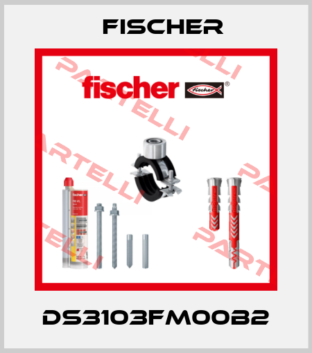 DS3103FM00B2 Fischer