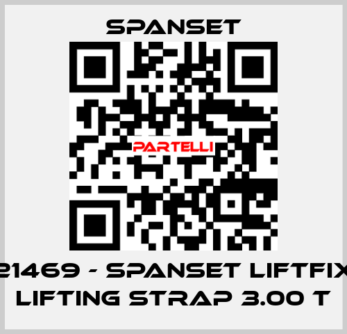 21469 - SpanSet Liftfix lifting strap 3.00 t SpanSet