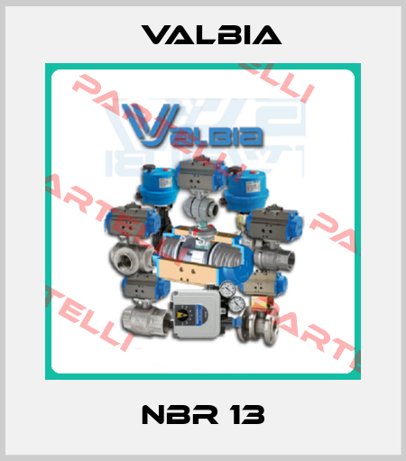 NBR 13 Valbia
