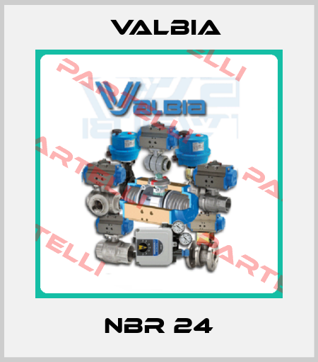 NBR 24 Valbia