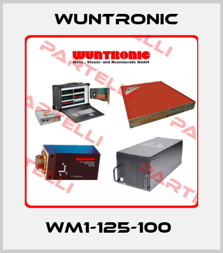 WM1-125-100  Wuntronic
