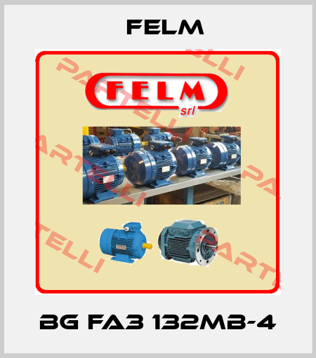 BG FA3 132MB-4 Felm