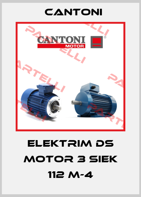 Elektrim DS Motor 3 SIEK 112 M-4 Cantoni