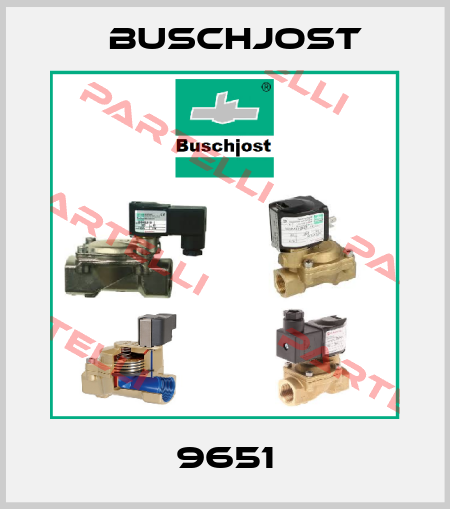 9651 Buschjost