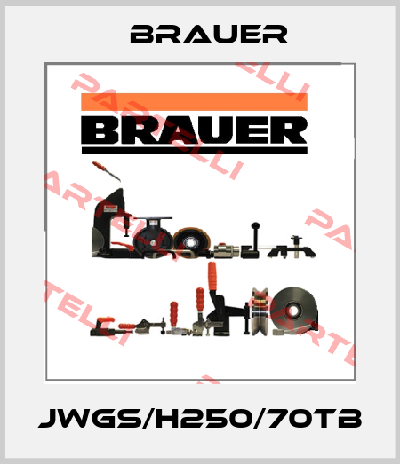 JWGS/H250/70TB Brauer