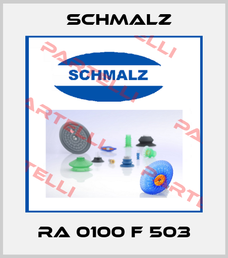 RA 0100 F 503 Schmalz