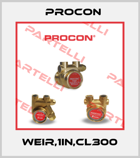 WEIR,1IN,CL300 Procon