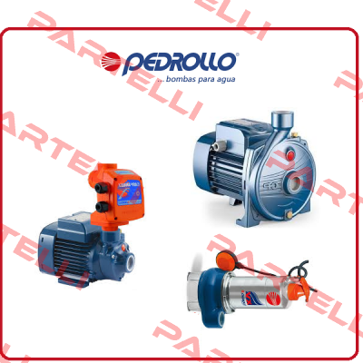 0304 17 Pedrollo