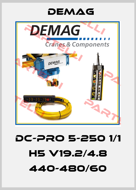 DC-PRO 5-250 1/1 H5 V19.2/4.8 440-480/60 Demag