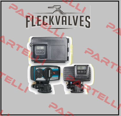 14569 Fleck Valves