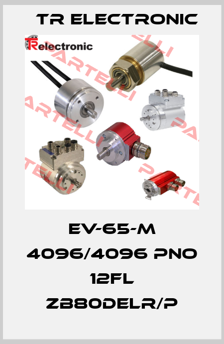 EV-65-M 4096/4096 PNO 12FL ZB80DELR/P TR Electronic