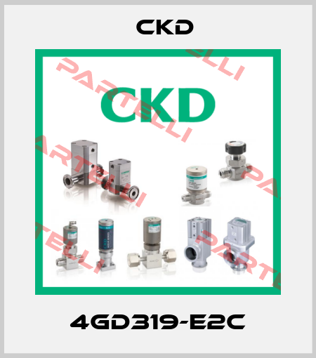 4GD319-E2C Ckd