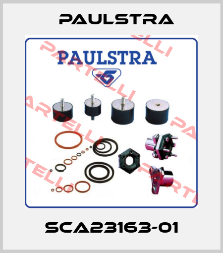 SCA23163-01 Paulstra