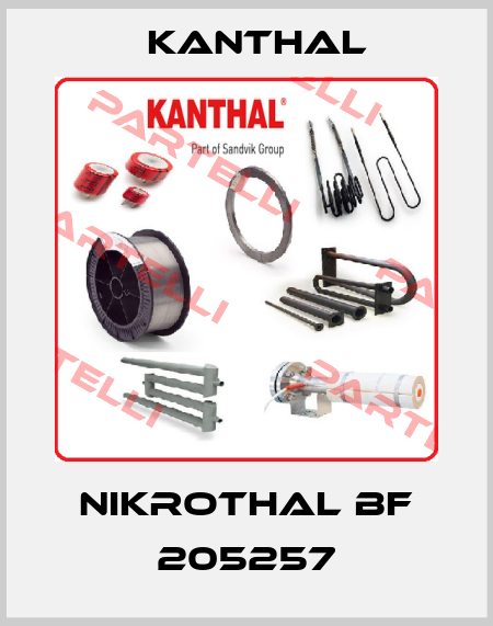 Nikrothal BF 205257 Kanthal