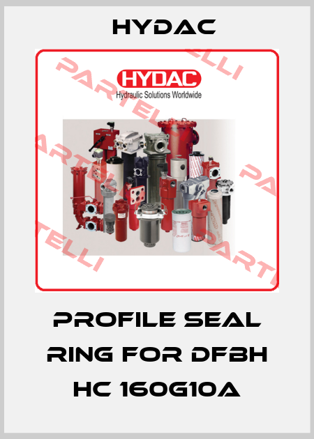 Profile seal ring for DFBH HC 160G10A Hydac