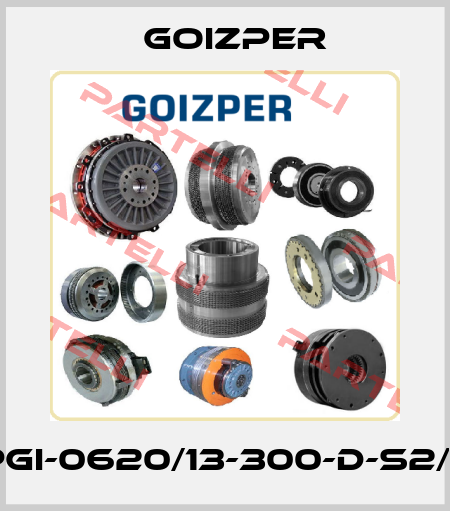 PGI-0620/13-300-D-S2/E Goizper