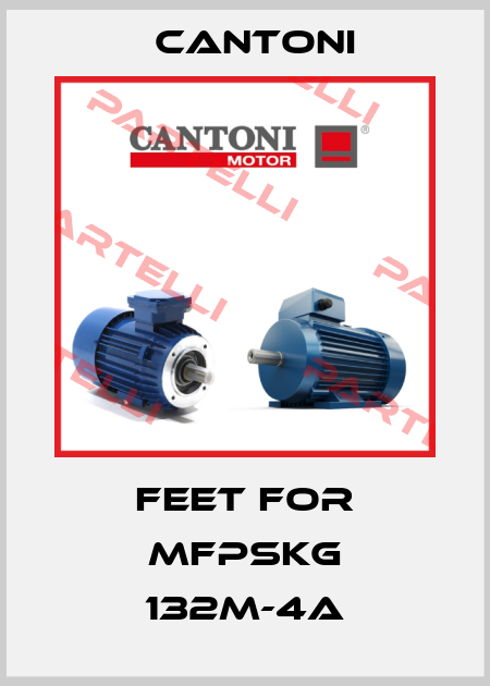 feet for mFPSKg 132M-4A Cantoni