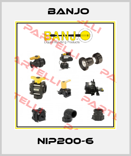 NIP200-6 Banjo